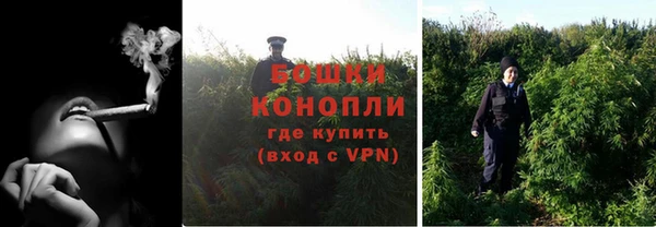 ПСИЛОЦИБИНОВЫЕ ГРИБЫ Надым