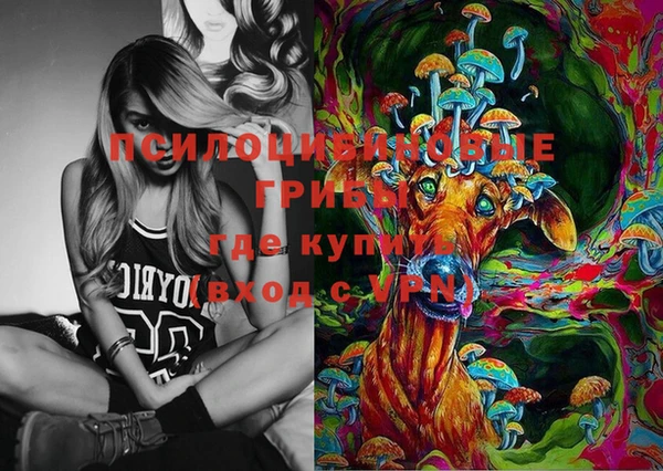 гашик Навашино