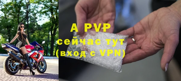 ПСИЛОЦИБИНОВЫЕ ГРИБЫ Надым